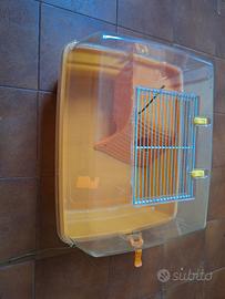 vaschetta per tartarughe d'acqua