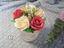Immagine 3