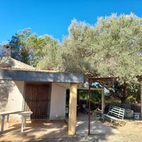 Terreno agricolo Soleminis
