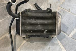 Radiatore kymco ak550