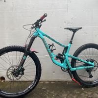 Santa Cruz bronson