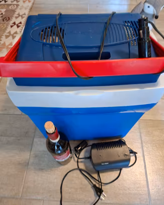 Borsa frigo  elettrica  portatile 