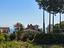 Immagine 12