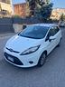 ford-fiesta-ikon-1-4-tdci-anno-2011-tagliandata