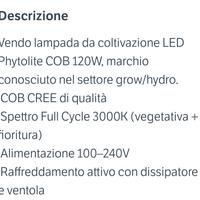 lampada coltivazione talee