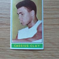 Figurina Cassius  clay campioni dello sport 67,68