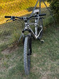 MTB Bottecchia
