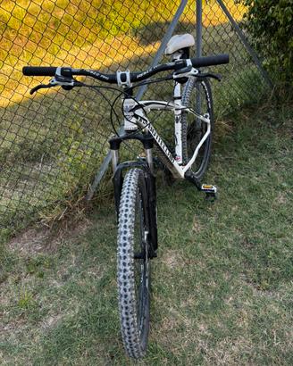 MTB Bottecchia