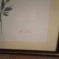 Quadro floreale Enzo Vitali 54x72 cm con cornice