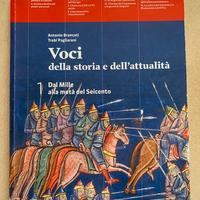 Libro usato VOCI DELLA STORIA