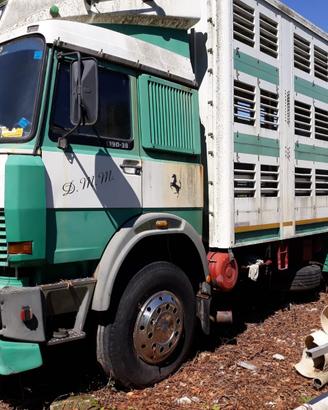 camion 190 38 per bestiame