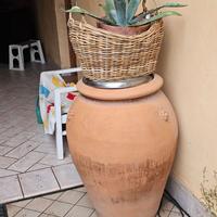 Vaso toscano con 3 leoni