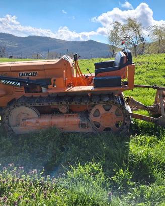 Trattore cingolato Fiat 455 montagna – 1500 ore