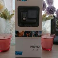 Gopro 