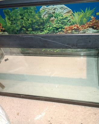 acquario 
