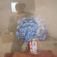 Dipinto ad olio vaso con fiori autore sinonimo