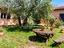 Immagine 20