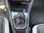 Immagine 17