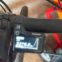 Bici elettrica