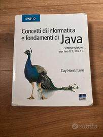 Concetti di informatica e fondamenti di Java