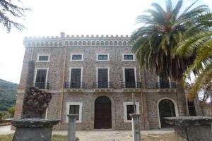 RGE 85/2015 Trib Patti