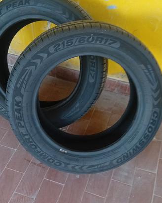 pneumatici 205/60/r17