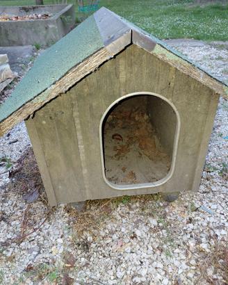 cuccia per cane 