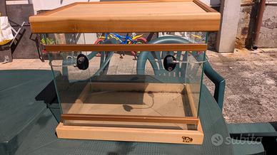 Terrario rettilinea 51x36x43h