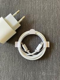 Caricatore 20W Apple + Cavo 60W usb-c/usb-c Apple