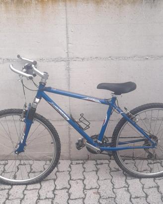 MTB da bambino ragazzo