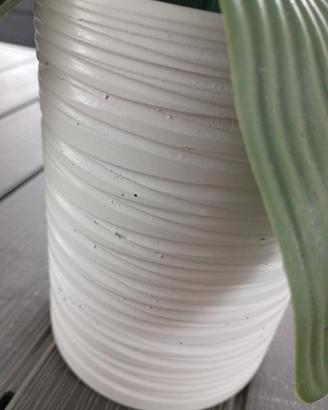 vaso bianco 