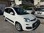 Immagine 22