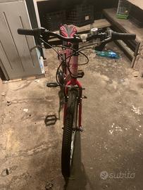 bici errerre 20 pollici martina