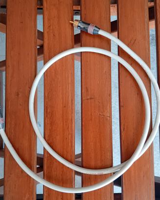 Coppia di Cavi Stereo Qnect2