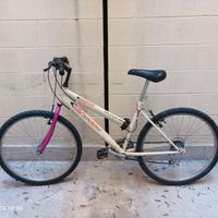 BICI MOUNTAIN  BIKE..DIM. 26 