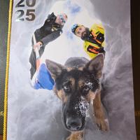 calendario Guardia di finanza