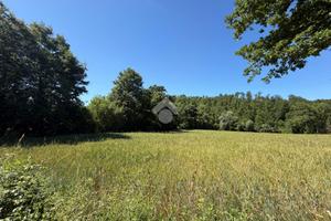 TER. AGRICOLO A MONTECASTRILLI