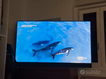 SKY TV  65'  skyglass