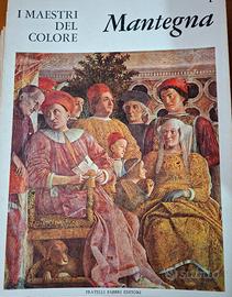 I Maestri del colore