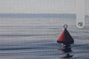 Boa  rimessaggio