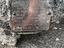 Immagine 1