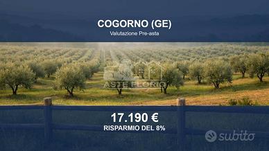 Immobile in asta di 665 m² a Cogorno