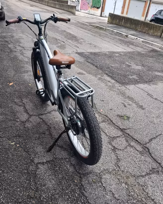 bicicletta elettrica