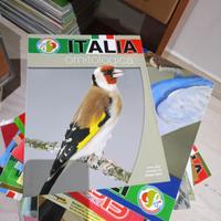 libri ornitologia italia