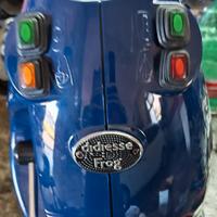 didiesse frog