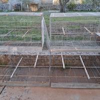 gabbie cova più voliera da 120