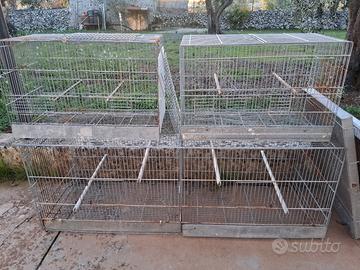 gabbie cova più voliera da 120