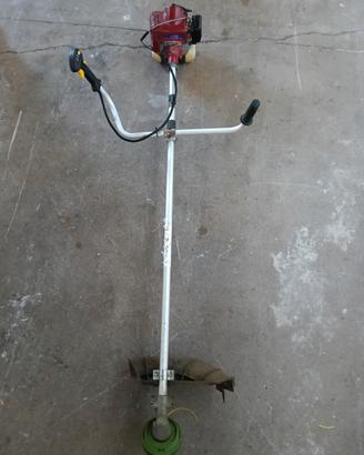 Decespugliatore uso professionale 