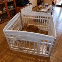 Recinto per animali domestici di piccola taglia.