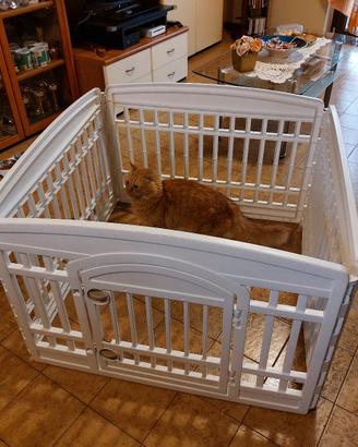 Recinto per animali domestici di piccola taglia.